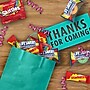 Skittles, Starburst & Life Savers Big Ring Gummies Fun Size Candy Bag, Assorted Flavors, 22.7 oz., 80 Piece (WMW23534)~#|#~68627C62-63C2-45F5-891E2A4565C4AC84_sc7