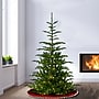 National Tree Company Norwegian Spruce Artificial Christmas Tree (PENG4-300-65)~#|#~689682DA-9DC2-4761-A5B26DA4D0F17128_sc7