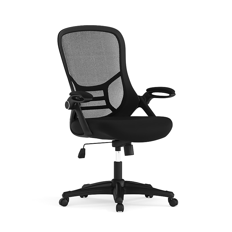 Flash Furniture Porter Ergonomic Mesh Swivel Executive Chair, Black (HL00161BKBK) image 1