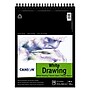 Canson Artist Series 11" x 14" Wire Bound Drawing Sketch Pad, 24 Sheets/Pad, 2/Bundle (MCXC100510891-2)~#|#~68B30FB6-27A4-4C13-84CD2B4B33D9D1B7_sc7