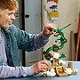LEGO Pokémon Rayquaza, 1083 Pieces (72168)~#|#~68C7CB1D-8F23-4C35-8233120FC284B490_sc7