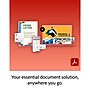 Adobe Creative Cloud for 1 User, Windows/macOS, Download~#|#~68CA53B4-5369-49B6-818CCBB728275E67_sc7
