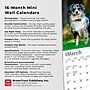 2026 BrownTrout Australian Shepherds 7" x 7" Monthly Wall Calendar (9798330702213)~#|#~68D767D9-8284-46A8-B7270288FCB00786_sc7