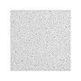 Armstrong DUNE Tegular Edge Ceiling Tile, 24" x 48", White, 8/Carton (BP1776A)~#|#~68D83AF2-C8FC-469D-992067E007E5FCB5_sc7