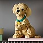 LEGO Icons Golden Retriever Puppy, 2102 Pieces (11384)~#|#~68F267D3-89DA-48D7-98C71F013F83EC34_sc7