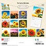 2027 BrownTrout Sunflowers 12" x 12" Monthly Wall Calendar (9798330711352)~#|#~68FA4874-B81F-4973-94CC7577CBB0B5F4_sc7