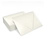 LUX A2 Contour Flap Envelopes, 250/Box, Quartz Metallic (1870-08-250)~#|#~68FD31B5-005E-4532-8E689706B27094C6_sc7