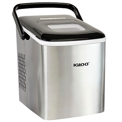 Self-Cleaning Ice Maker