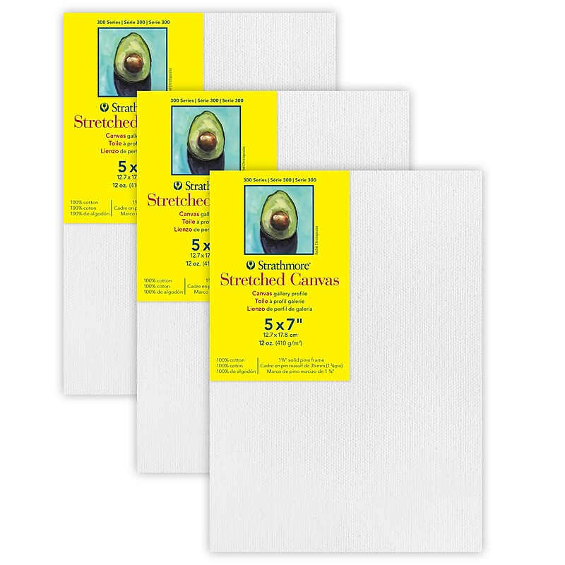 Strathmore 300 Series Primed White Stretched Canvas, 7" x 5", 3/Pack, 3/Bundle (STT31407-3) image 1