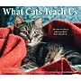 2027 Willow Creek What Cats Teach Us 5.4" x 6.2" Day-to-Day Calendar (63828)~#|#~691479C2-7A6B-428D-AA9651C0488DB23F_sc7