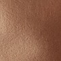 Liquitex LX ACRYLIC BASICS Acrylic Paint, Bronze, 118 ml. (LIQ1046229)~#|#~6937B358-2DDB-4121-BAED4B47ABCFCBAD_sc7