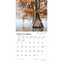 2027 BrownTrout The Majesty of Trees 12" x 12" Monthly Wall Calendar (9798330711574)~#|#~6951E058-B76A-42BD-9CFCA991BEE17A50_sc7