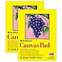 Strathmore 300 Series 9" x 12" Tape Bound Canvas Pad, 10 Sheets/Pad, 2 Pads/Bundle (STTP31509-2)~#|#~6958E0C7-E27D-4B3D-B12BA6565178523E_sc7