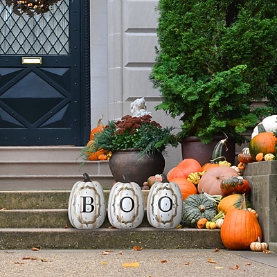 National Tree Company 13" BOO Pumpkin Assortment - Thumbnail 4