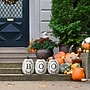National Tree Company 13" BOO Pumpkin Assortment (RAH-ZHS10294A)~#|#~696D69B4-656C-430D-B796846DE6F81D01_sc7