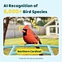Birdfy Feeder 1 Smart Bird Feeder with Camera, Solar Panel and Free AI Lifetime Subscription, Blue (EPPAMBNI8101110)~#|#~696DC6EB-4F90-4F24-90F7E3F3C300F19F_sc7