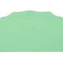LUX Moistenable Glue Envelope 3 1/8" x 6 1/4", Pastel Green, 250/Pack (WS-7613-250)~#|#~697A1C32-D1AB-4FE6-AB0A5AD00A375DCB_sc7