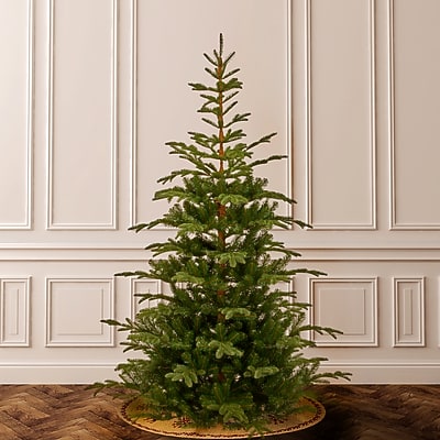 National Tree Company 7.5 ft Unlit Norwegian Spruce Artificial Christmas Tree - Thumbnail 4