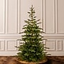 National Tree Company Norwegian Spruce Artificial Christmas Tree (PENG4-500-75)~#|#~698156DF-5FDD-465A-BA156F03B8D36381_sc7