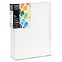 Liquitex BASICS Primed White Cotton Stretched Canvas, 12" x 16", 3/Pack (LIQ472012016)~#|#~69923389-6994-4B06-971A91FCB2503705_sc7