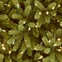National Tree Company 6.5' Pre-Lit Jersey Fraser Fir Slim Artificial Christmas Tree, 700 Lights (PEJF1-304-65)~#|#~69BA63F3-05E4-456C-85D2812983FD736F_sc7