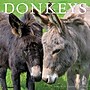 2027 Willow Creek Donkeys  12" x 12" Monthly Wall Calendar (65204)~#|#~69C52733-DBE9-4F43-9391907E39FB74DA_sc7