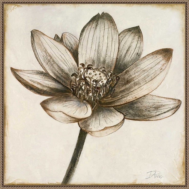 Amanti Art Sepia Lotus Blossom II by Patricia Pinto Framed Canvas Wall Art Print, 30" x 30" (A42678299854) image 1