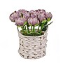 National Tree Company 10" Light Purple Peony Flower Bouquet in White Basket (MT81-6126GPRM-1)~#|#~69D50C94-909A-4436-B67C07673E24CE2C_sc7