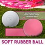 Franklin Mini Lacrosse Stick, Pink (FRN60085C3)~#|#~69EF8DE0-F403-42D2-B28746EABD8EEACA_sc7