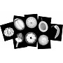 Roylco Plant X-Rays & Picture Cards, 84 Pieces/Set (R-59261)~#|#~6A05CA0A-D94A-4CAC-A7E770E3A0BBC4A0_sc7