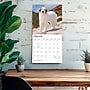 2027 BrownTrout Great Pyrenees 12" x 12" Monthly Wall Calendar (9798330712496)~#|#~6A0EEBF1-9082-4A21-A920DD8EFF059D0B_sc7
