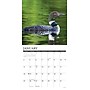 2026 Willow Creek Loons 12" x 12" Monthly Wall Calendar (51832)~#|#~6A207BCB-0B82-4C32-93B697C8D264E5E0_sc7