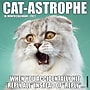 2027 Willow Creek Cat-astrophe 12" x 12" Monthly Wall Calendar, Assorted Colors (59555)~#|#~6A479D3E-F5C2-4C06-A999088EDD42E917_sc7