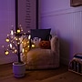 Nearly Natural Pre-Lit Artificial Halloween Pumpkins and Skulls Ornament Tree, 3' (T5363)~#|#~6A5CA856-3FAE-424A-A4DD351EF5914F34_sc7