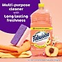 Fabuloso 2X All-Purpose Cleaner & Spray, Peach Scent (61046751) ~#|#~6A6DFB50-C586-43E2-B5B9F57ACE9CBDC8_sc7