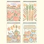 Lifelines FlowArt: Trace-By-Line Fall Harvest Coloring Book, 20 Pages (LL-16-3247)~#|#~6A7BDCC2-476C-4852-A42550CCCF56509C_sc7