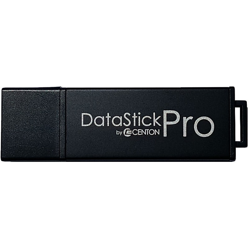 Centon DataStick Pro 256GB USB 3.2 Gen 2 Flash Drive Type C, Graphite (S1-U3.1I2-256G) image 1