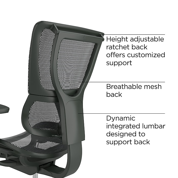 Workplace2.0 Lawton Ergonomic Mesh Swivel Task Chair, Black Workplace2.0 Lawton Ergonomic Mesh Swivel Task Chair, Black