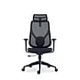 Raynor Group Torque Ergonomic Fabric/Mesh Swivel Manager Chair, Black (TORQUE-BF-BLK)~#|#~6A9F2D3C-B913-4E7C-86AD6A4109C16EC7_sc7