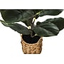 Monarch Specialties Inc. 28" Artificial Fiddle Tree in Basket (I 9505)~#|#~6AA1D91D-8C7B-4F6C-8C6728A6FF586D7E_sc7