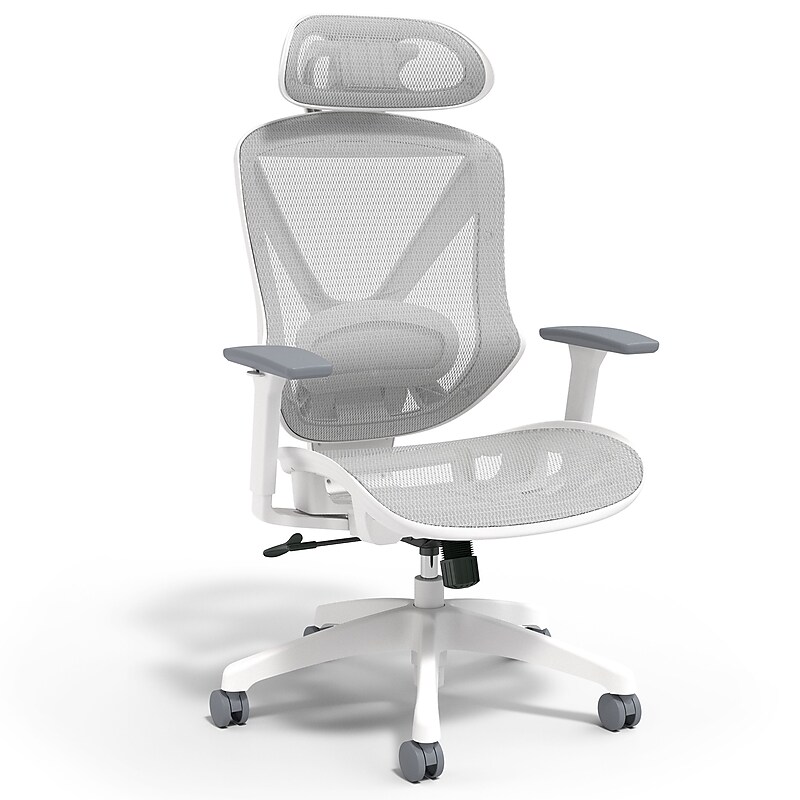 Staples Dexley Ergonomic Mesh Swivel Task Chair, Gray (UN61365) image 1