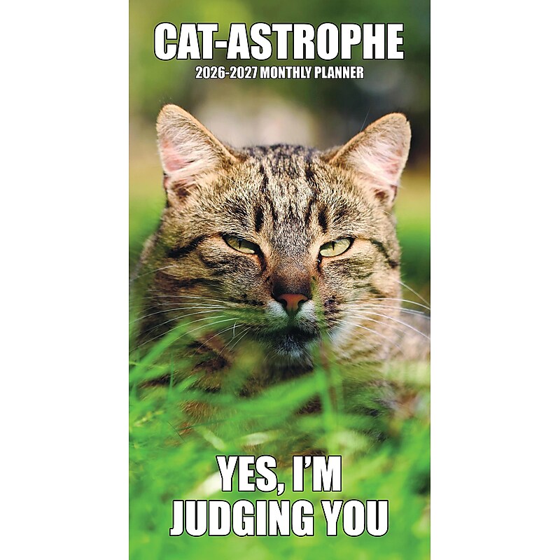 2026-2027 Willow Creek Cat-astrophe 3.5" x  Monthly Planner, Paperboard Cover (56509) image 1