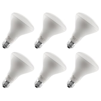 Viribright 9-Watt Soft White LED Floodlight Bulb, 6/Box (450124-ES)