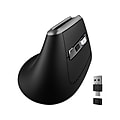 Delton S20 Wireless Optical Mouse, Black (DMS20-WB)