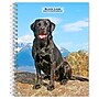 2026 BrownTrout Black Labrador Retrievers 6.5" x 7.75" Weekly Planner (9798330704231)~#|#~6AF5FFA0-85CD-480A-BB69C14D298E2792_sc7
