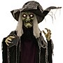 Haunted Hill Farm Life-Size Poseable Witch (HHWITCH-27FLSA)~#|#~6AF89F8D-AEAB-49ED-B4ADB0065554F03F_sc7