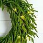 Nearly Natural Pre-Lit Artificial Real Touch Norfolk Island Pine Wreath, 24" (W1392)~#|#~6B046C21-40CC-4931-B8FCBA33D392FC3D_sc7
