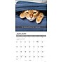 2027 Willow Creek Snapcats 12" x 12" Monthly Wall Calendar, Assorted Colors (62401)~#|#~6B07FE6D-C3F0-45DA-B662E158A28E6FAE_sc7