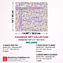 2027 BrownTrout House of Turnowsky Blissful Blossom 14.25" x 13" Monthly Calendar, Assorted Colors (9798330716265)~#|#~6B119BA1-B317-4202-90F4F4A906E6BF7D_sc7