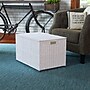Household Essentials 125.6 Quart Sturge Chest, Wicker, Arctic White (ML-7165)~#|#~6B21EA04-A877-4E6D-B545716AE7A3DB88_sc7